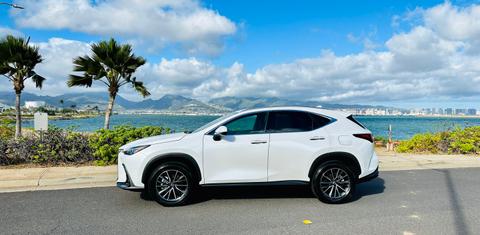 Lexus NX 2024