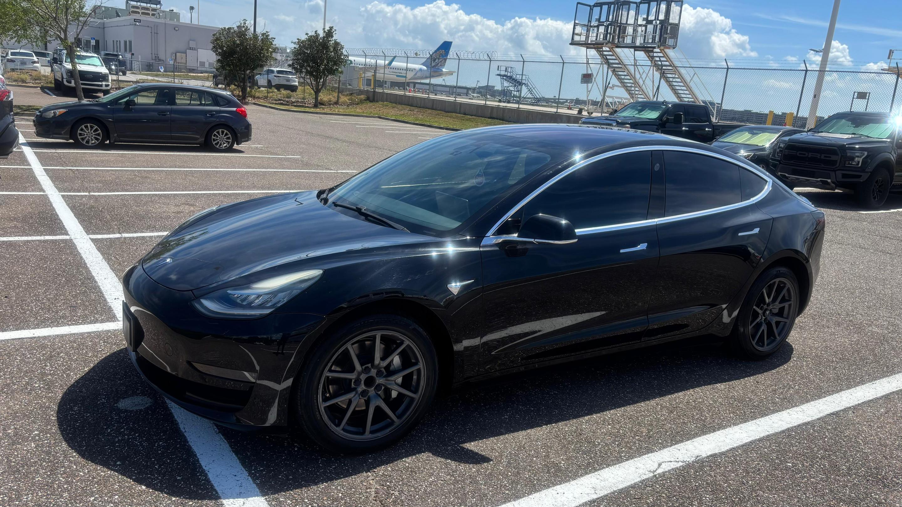 Tesla Model 3 2019 in Tampa, FL