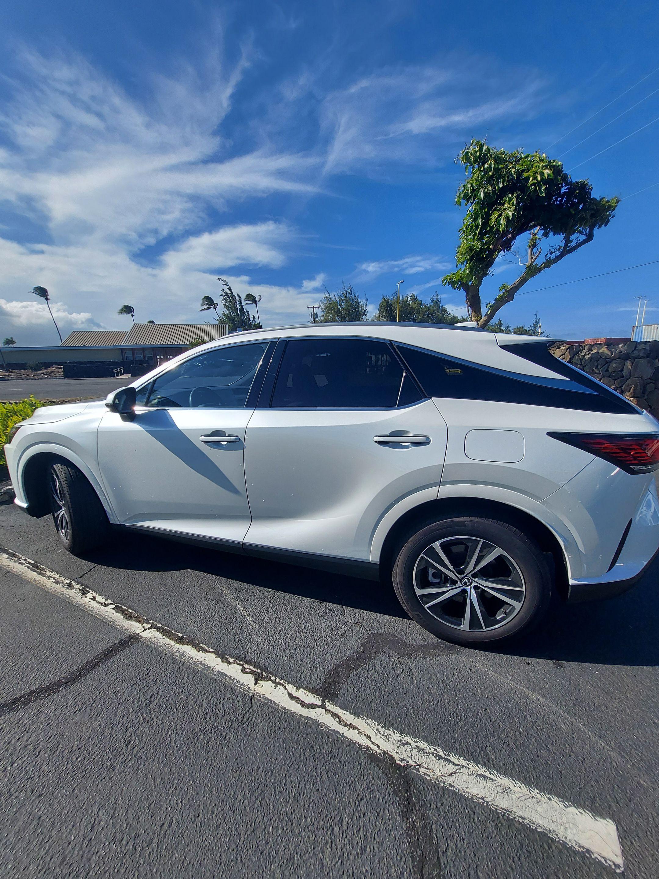 Lexus RX 2024 in 