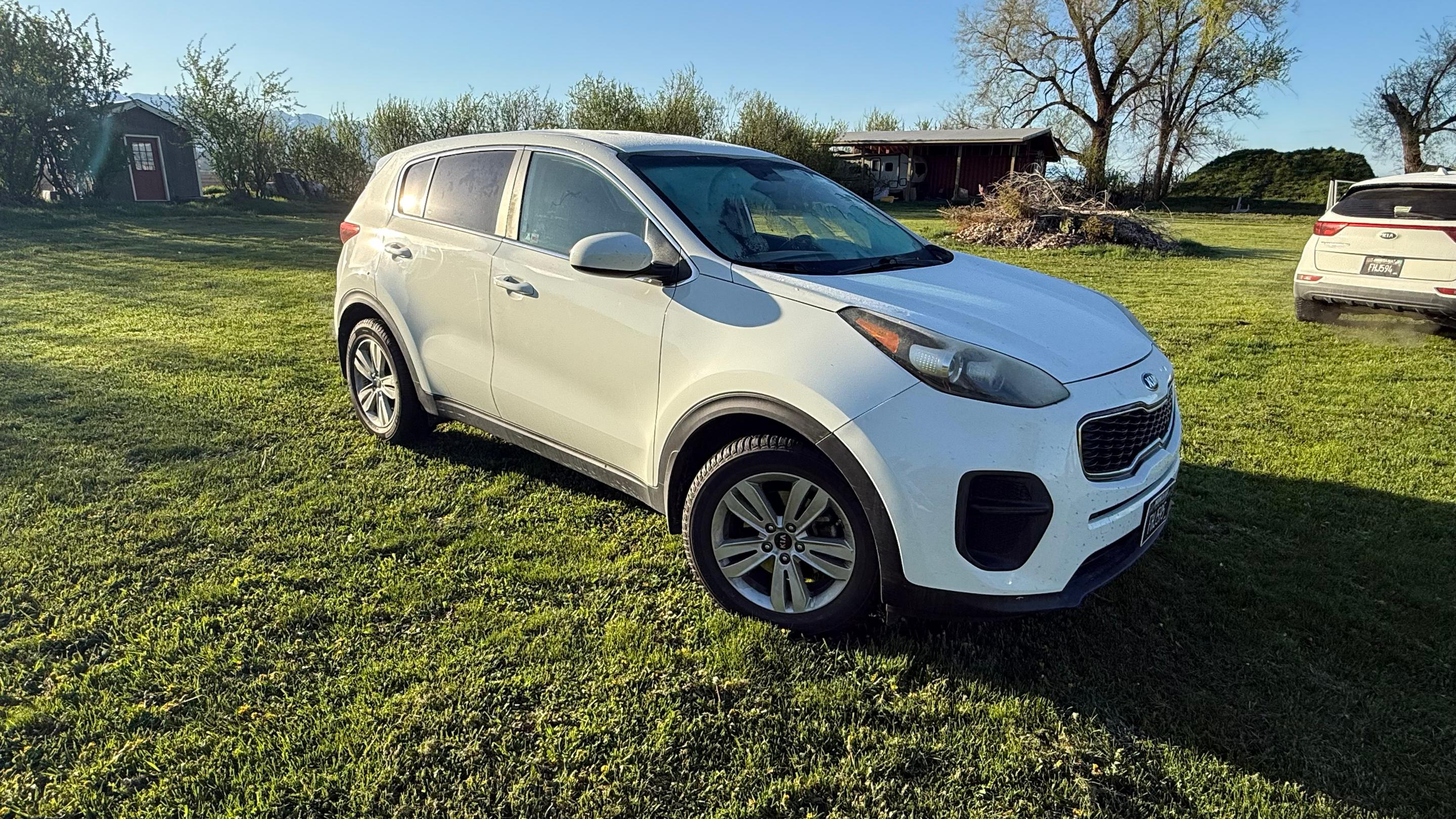 Kia Sportage 2019 in Kalispell, MT