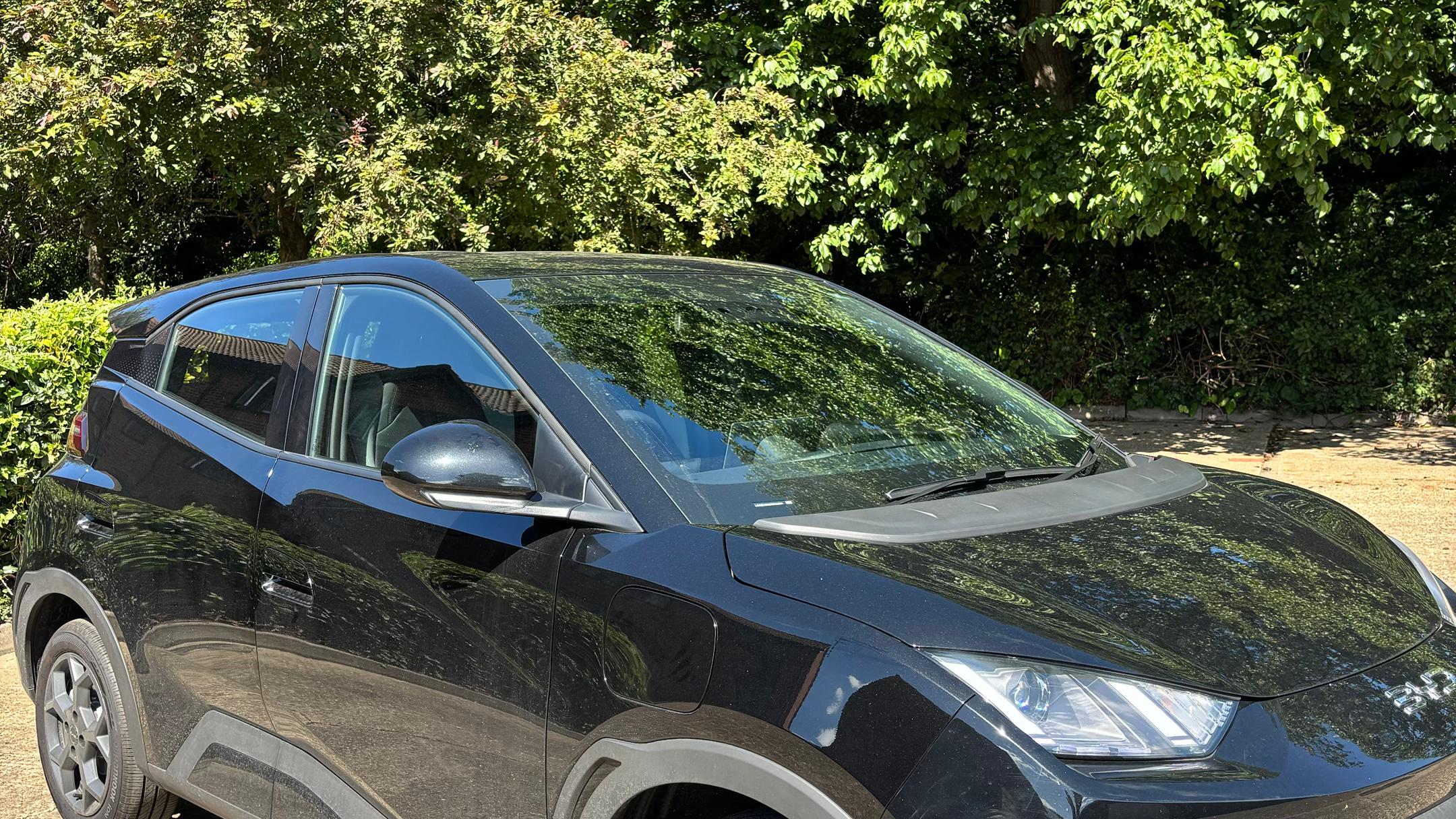 BYD Dolphin Surf 2025 in Grays