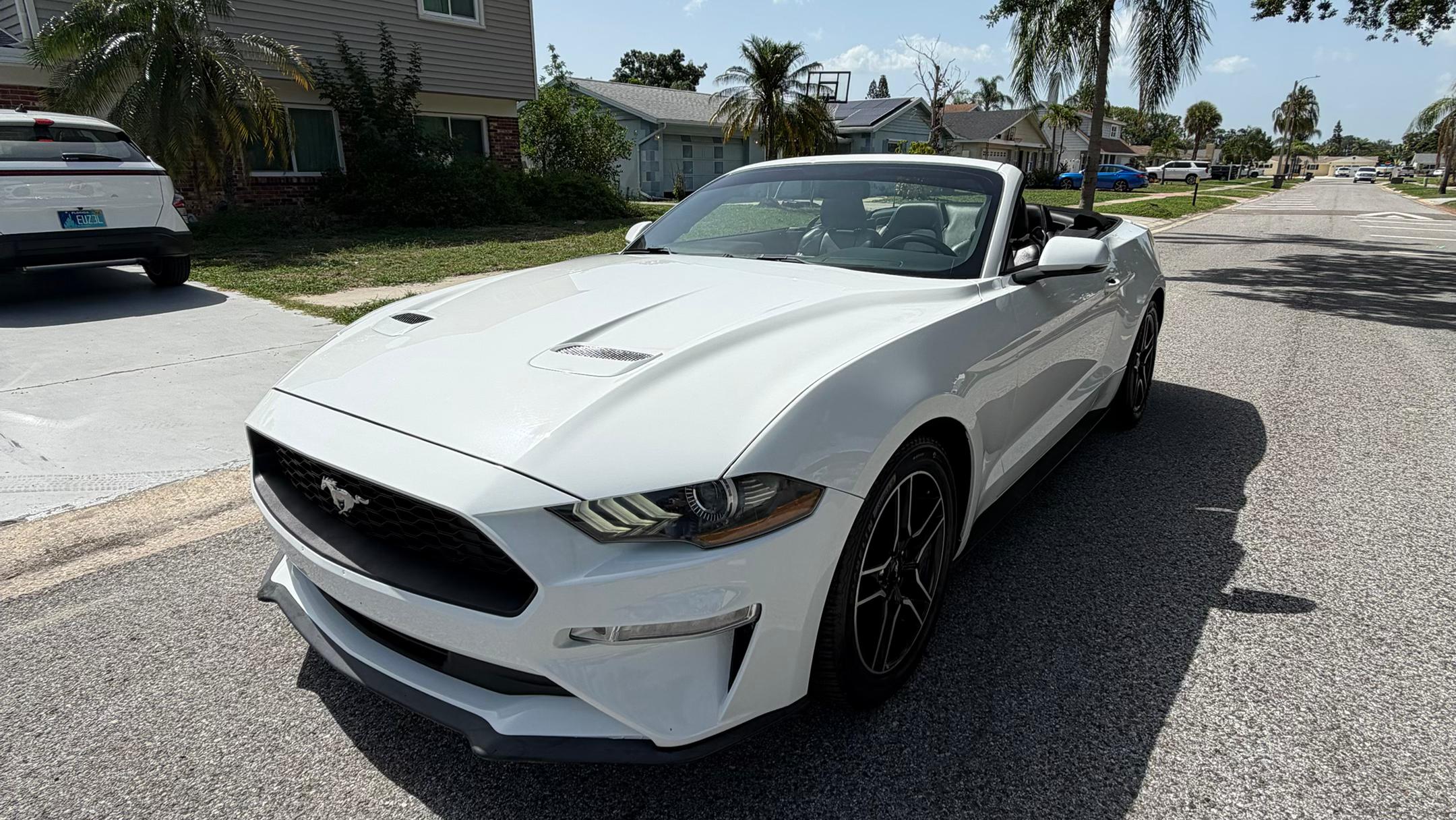 Ford Mustang 2019 in Tampa, FL