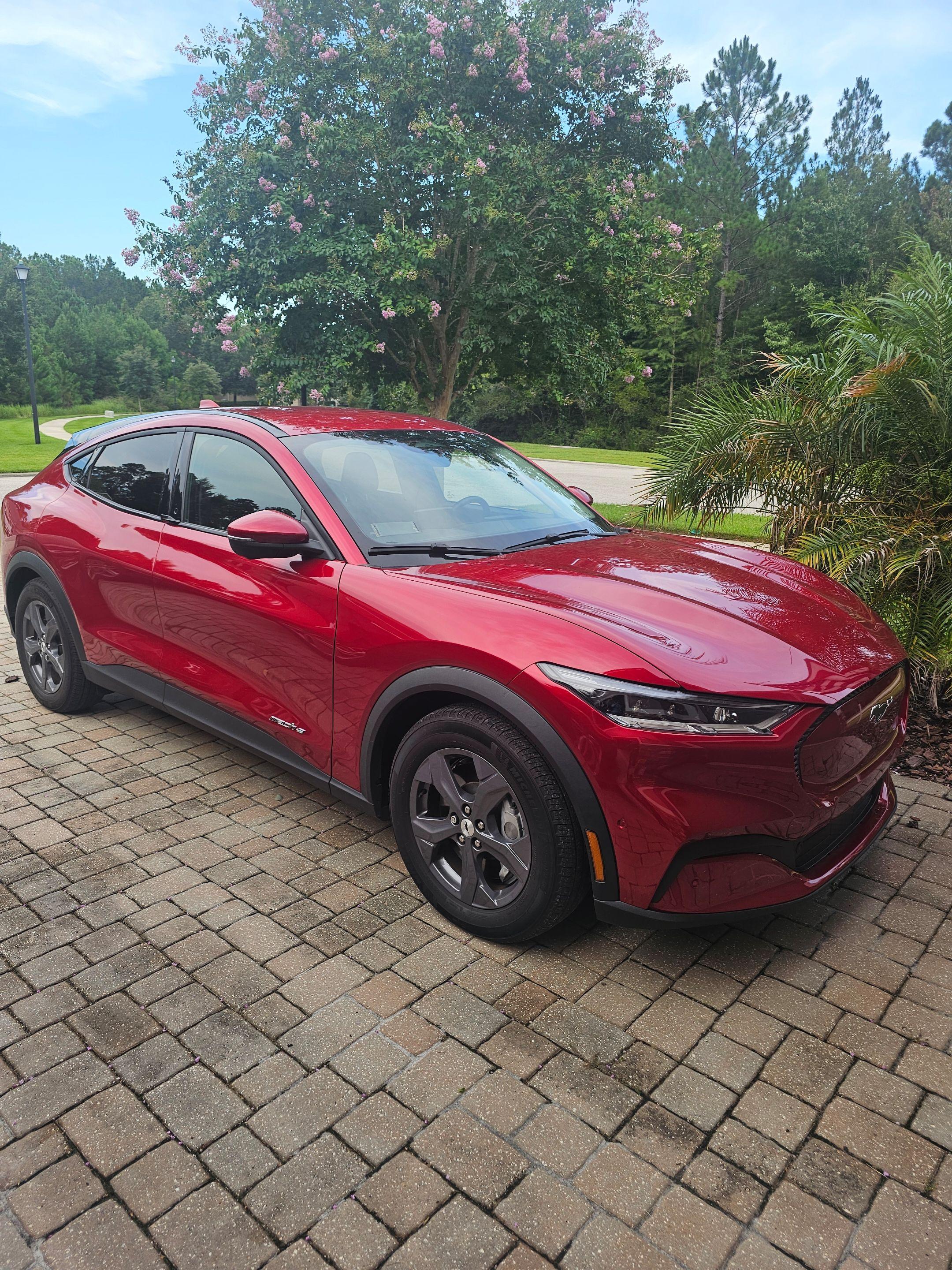 Ford Mustang Mach-E 2022 in Fruit Cove, FL