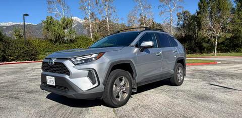 Toyota RAV4 Hybrid 2024