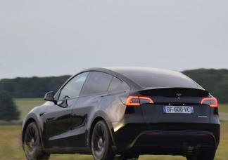 Catégorie de véhicule : Tesla Model Y