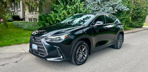 Lexus NX 2025