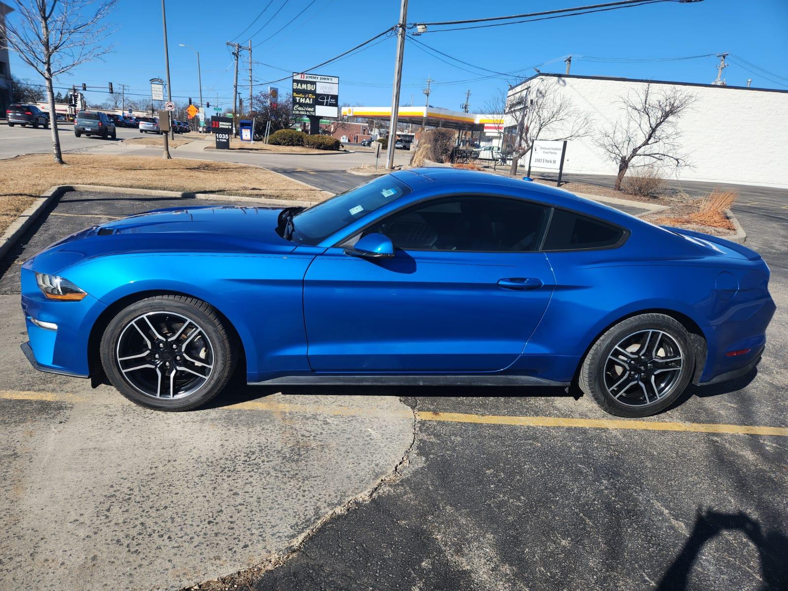 Ford Mustang 2019 in Indianapolis, IN