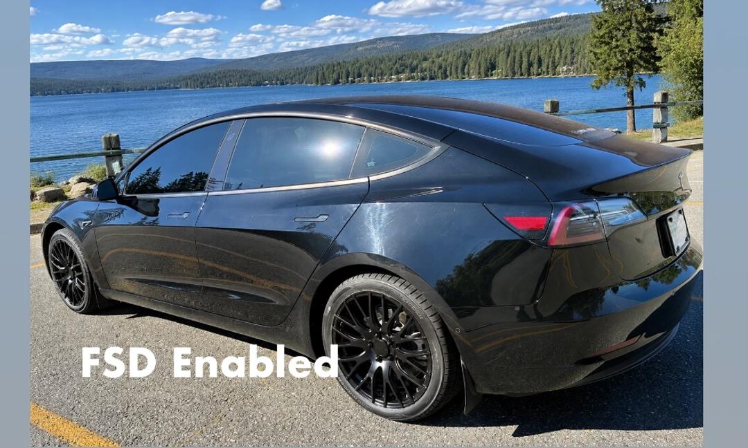 2022 Tesla Model 3 in Bothell