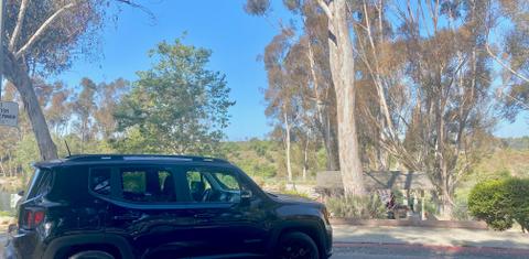Jeep Renegade 2020