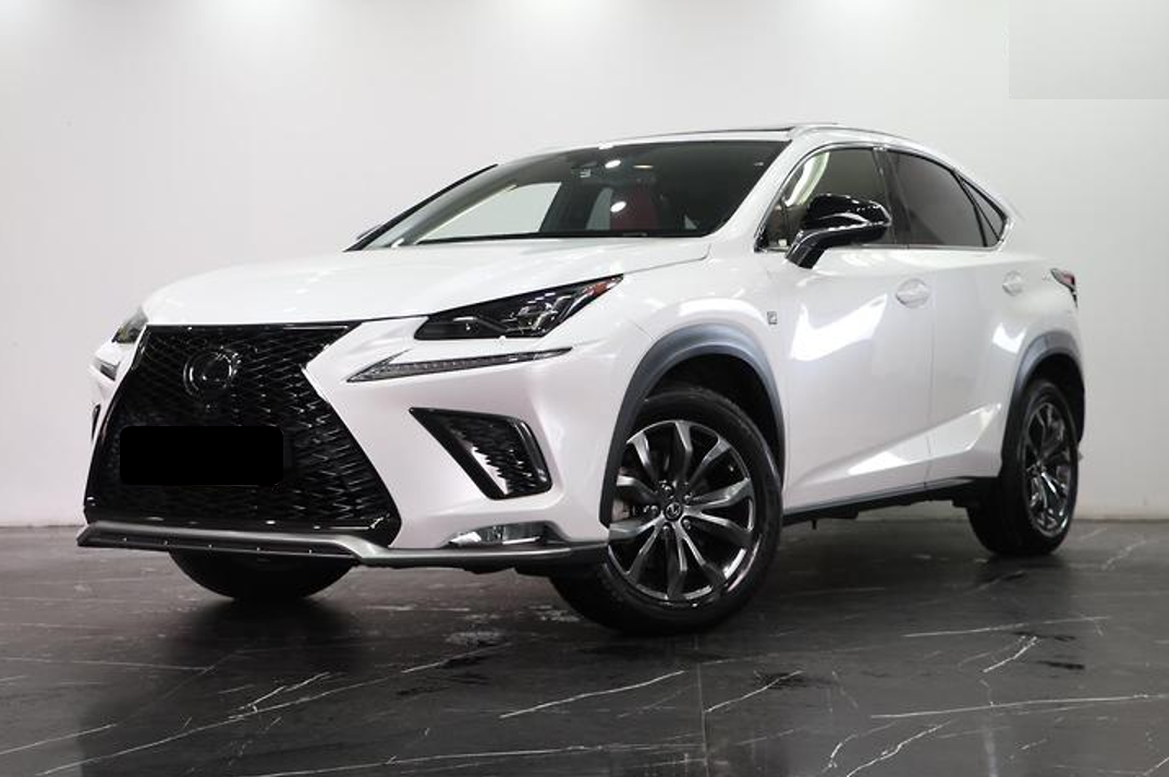 Lexus NX 2019 in 