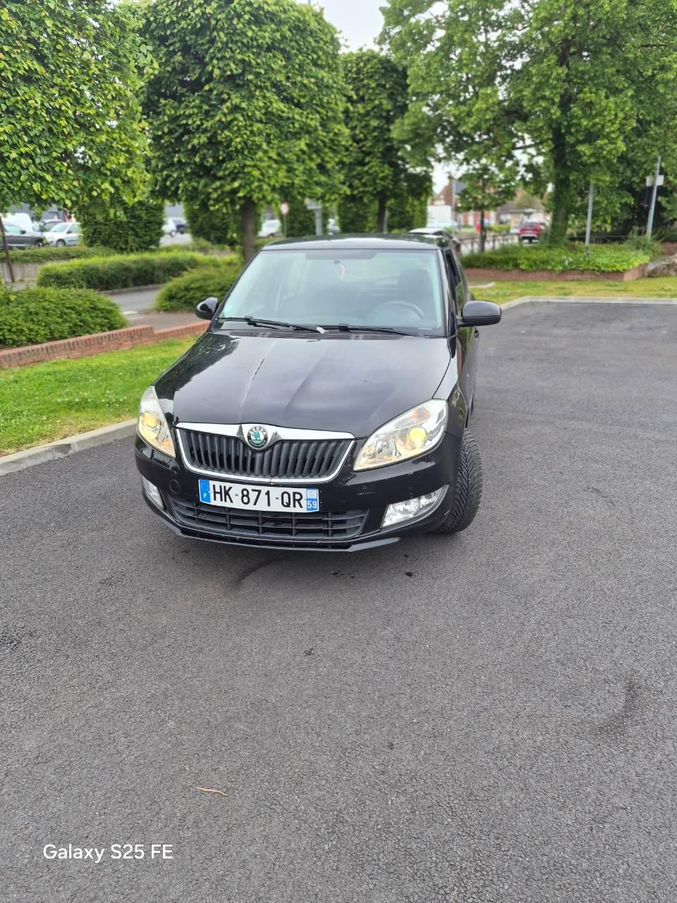 Skoda FABIA 2014 à Masny