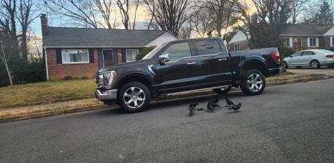 Ford F-150 2021