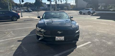 Ford Mustang 2019