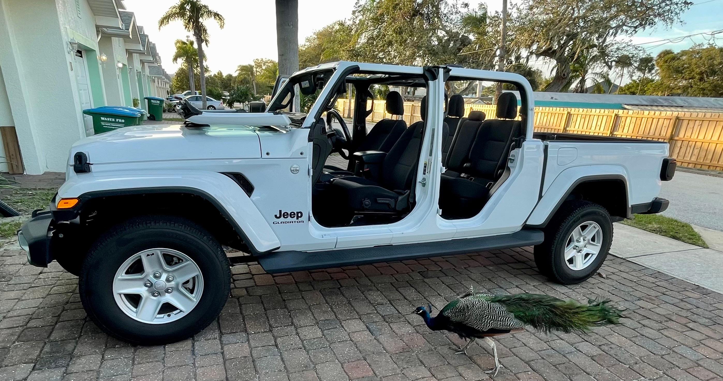 Jeep Gladiator 2020 in 