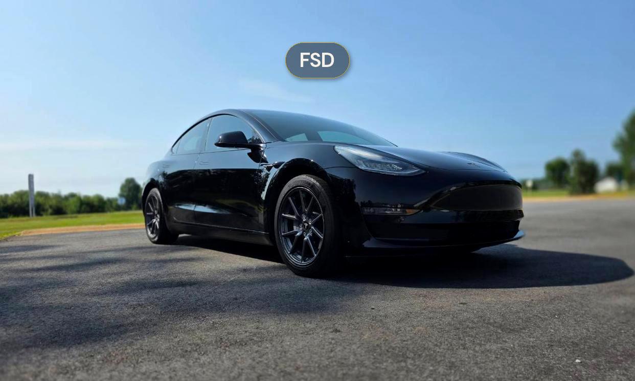 Tesla Model 3 2019 in Piedmont, SC