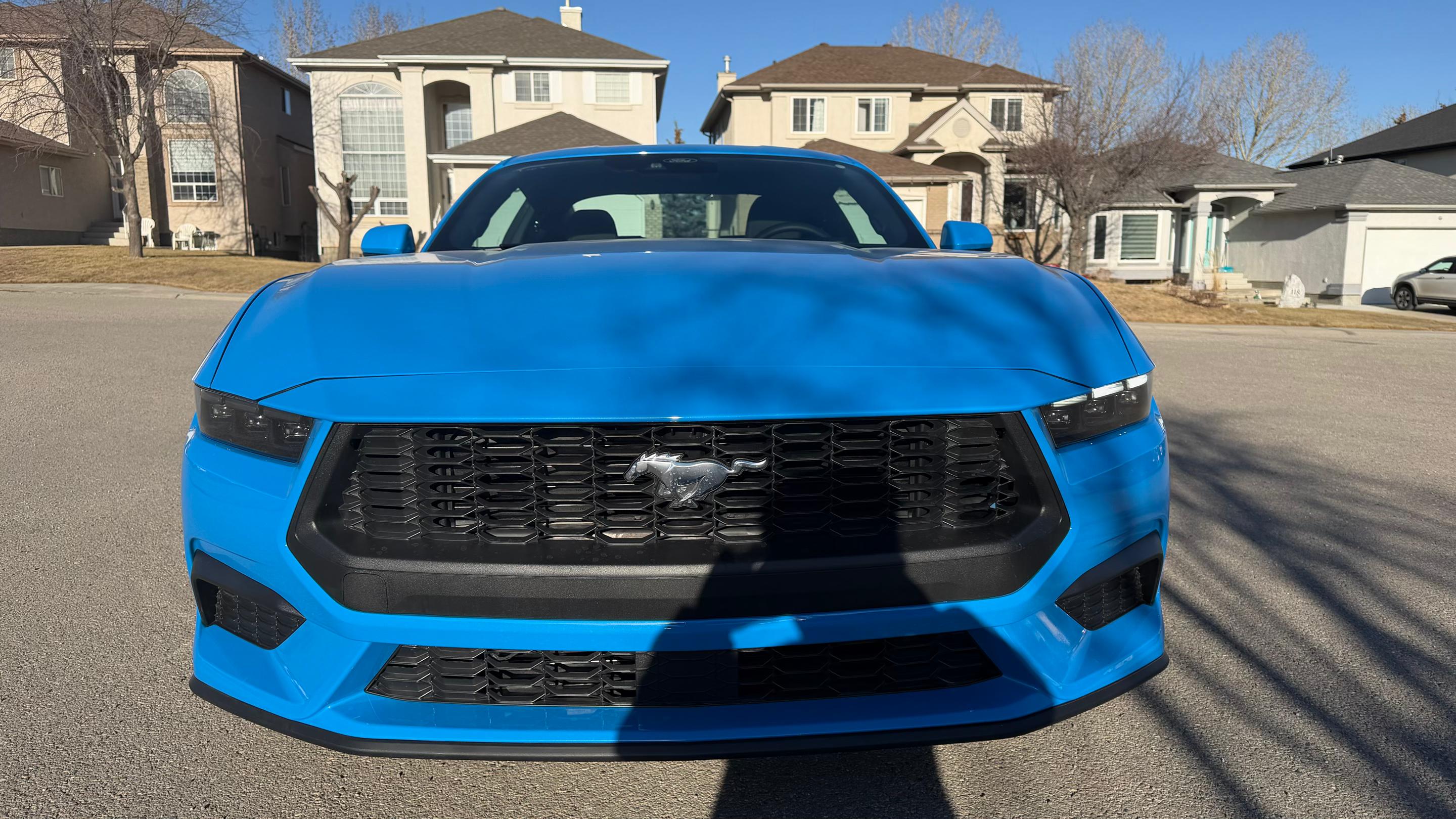 Ford Mustang 2025 à Calgary, AB