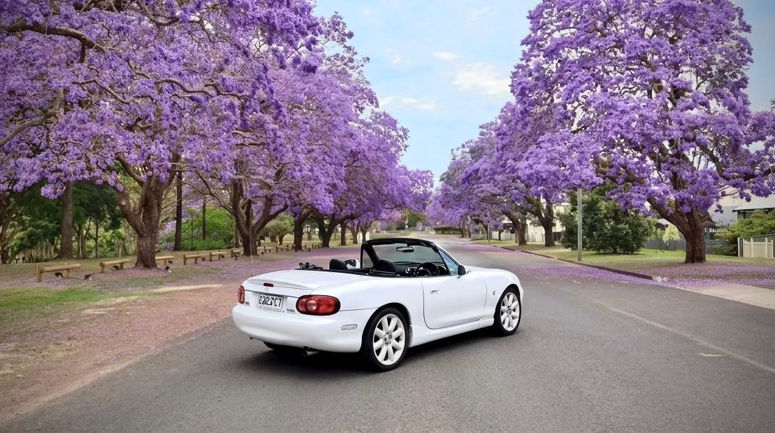 Mazda MX5 2000 in New Farm