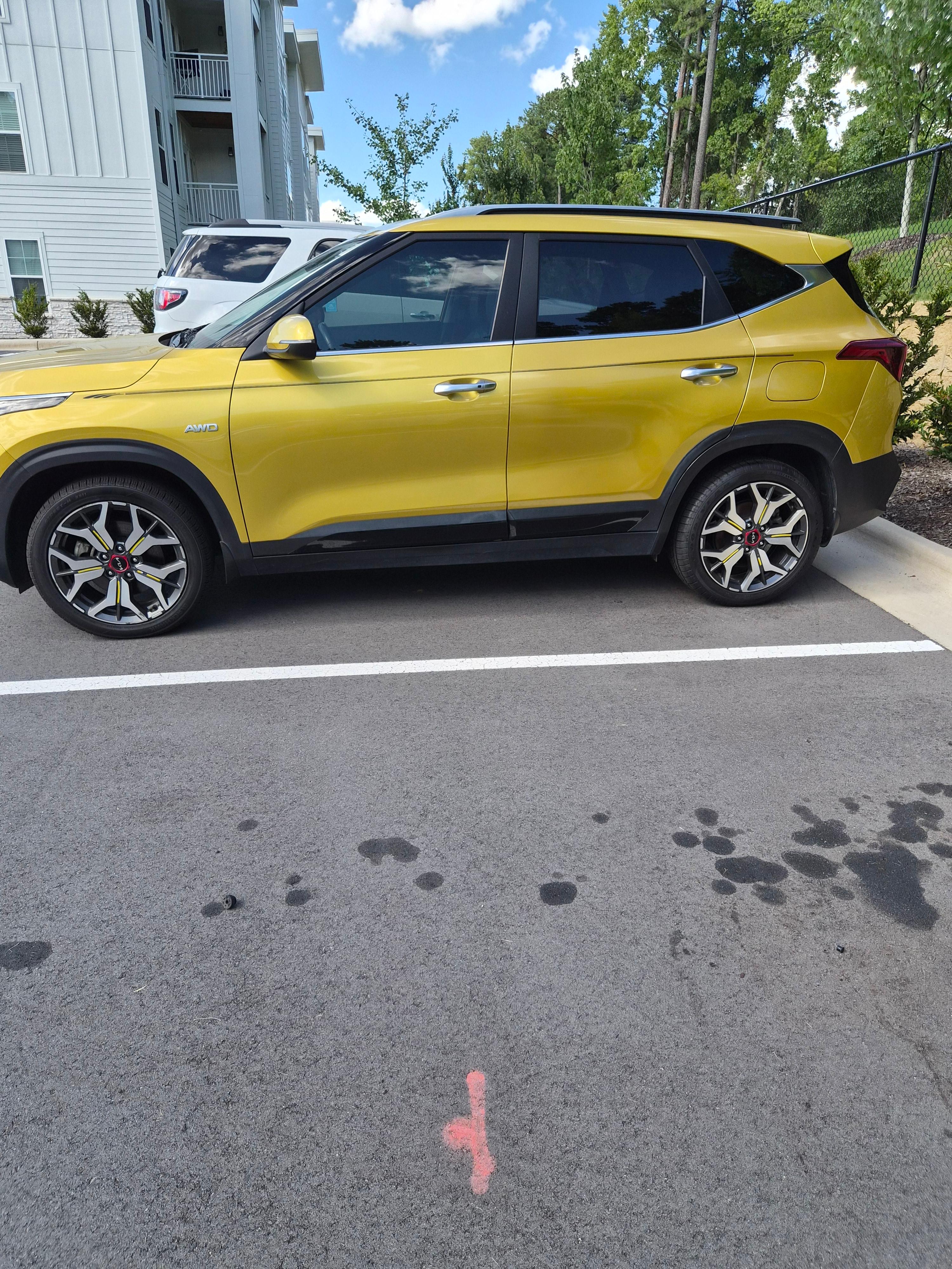 Kia Seltos 2022 in Middlesex, NC