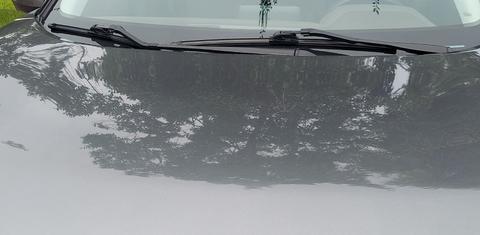 Nissan Rogue 2021