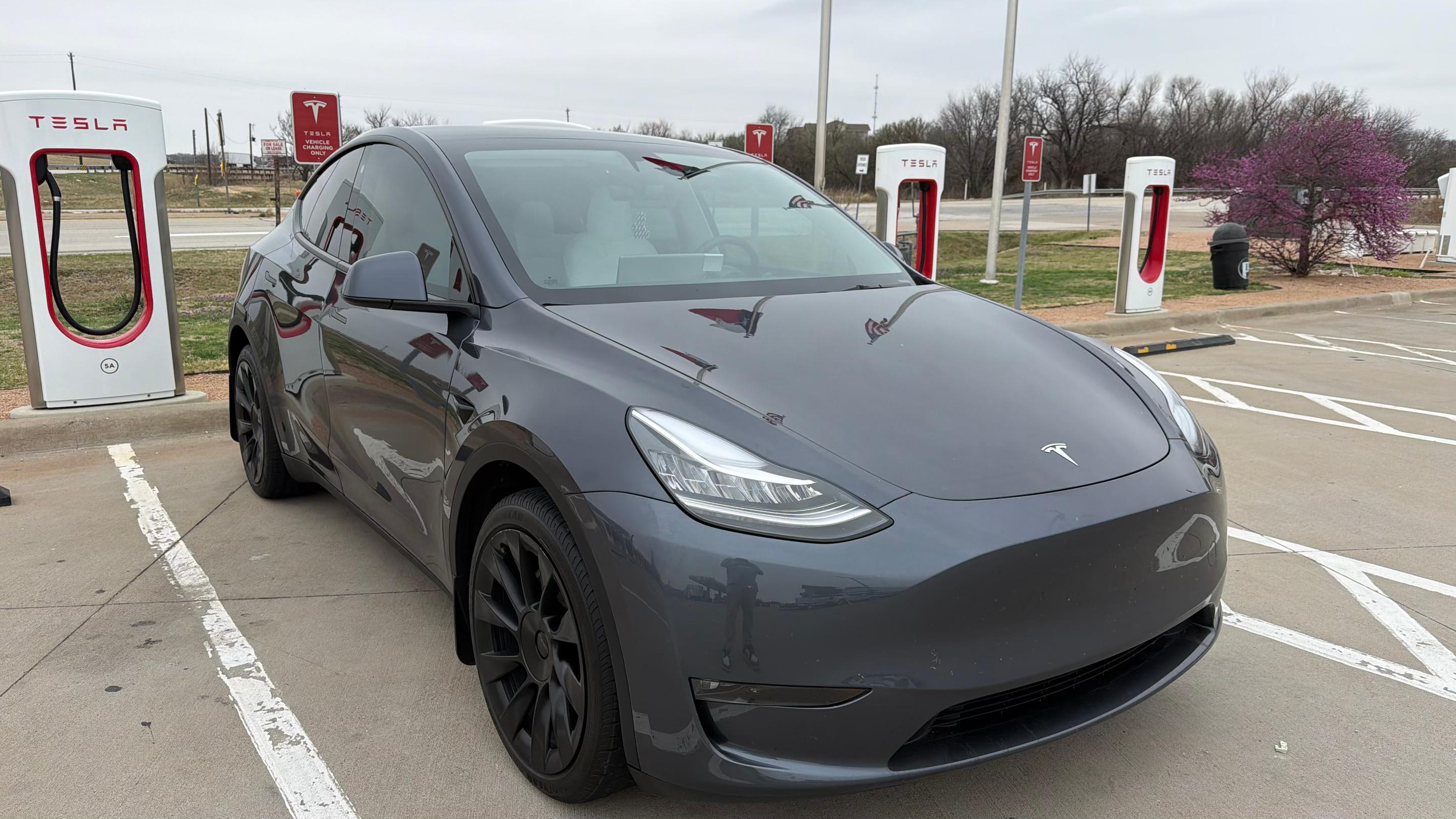 Tesla Model Y 2023 in Wenatchee, WA