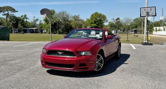 Ford Mustang 2013 — Car rental alternative in Orlando, FL