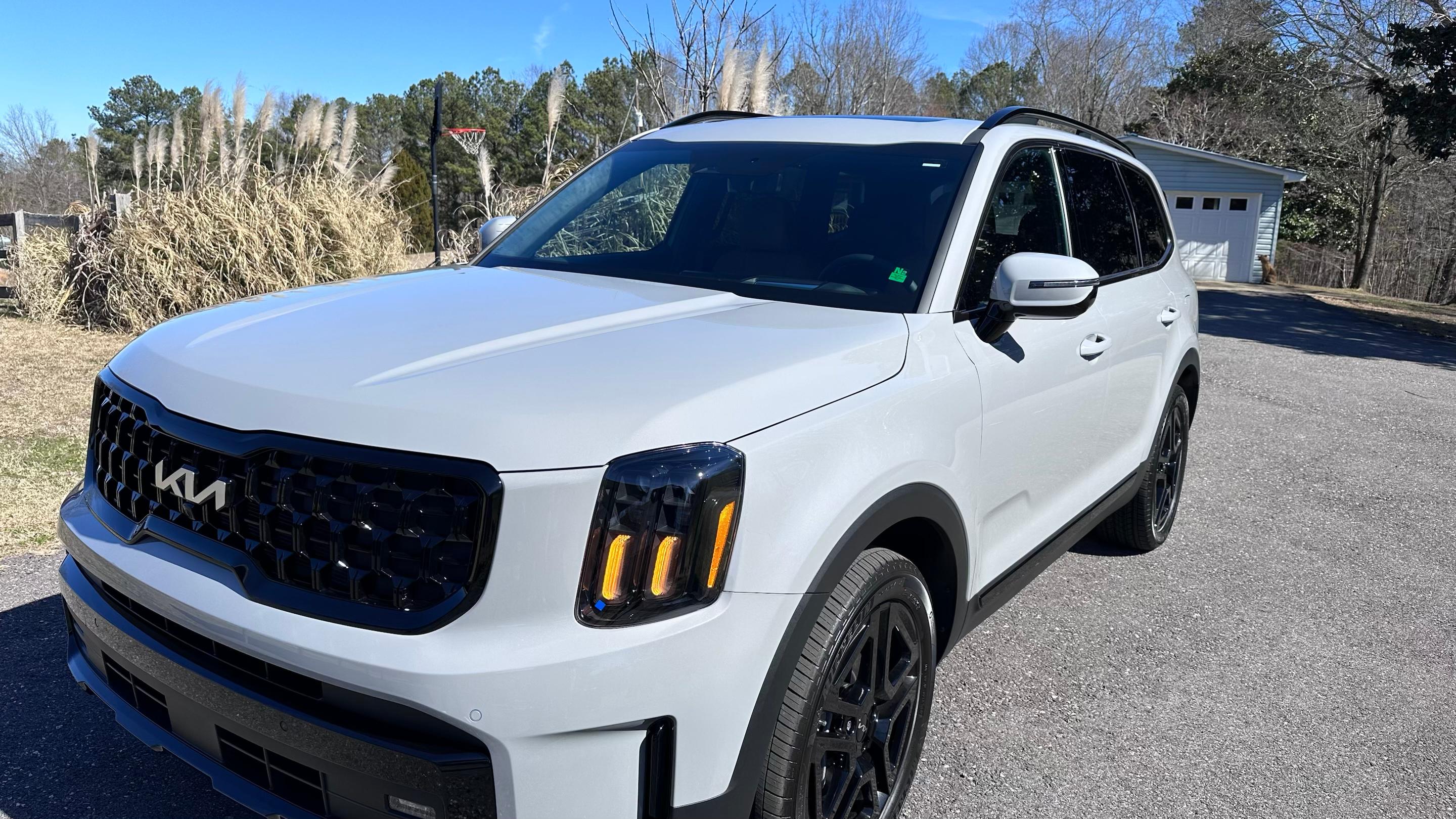 Kia Telluride 2024 in Pell City, AL