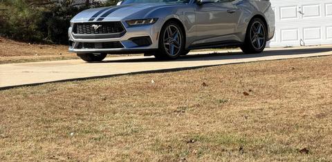 Ford Mustang 2024