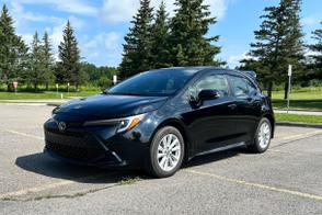 Toyota Corolla car