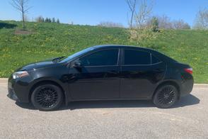 Toyota Corolla car