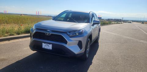 Toyota RAV4 2019
