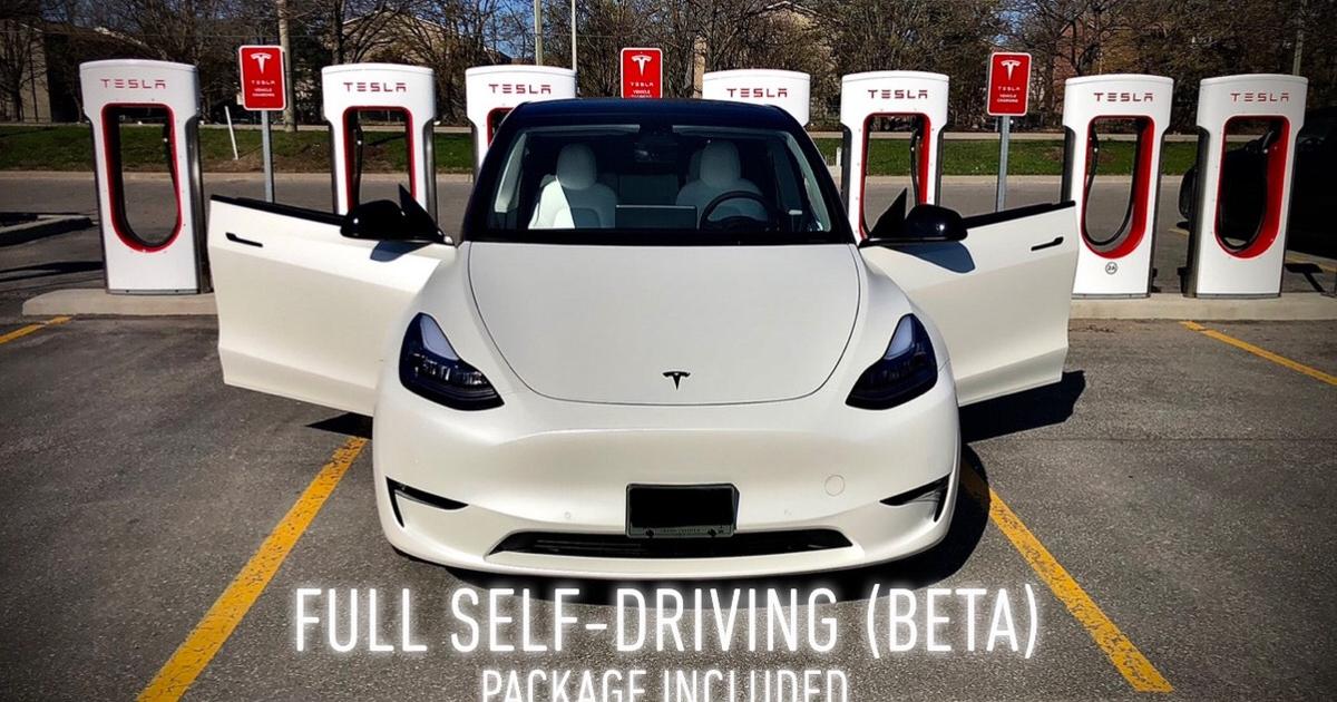 2022 Tesla Model Y in Pickering