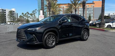 Lexus NX 2025