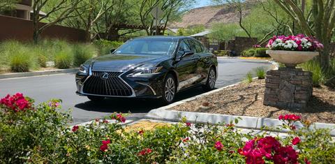 Lexus ES 2025