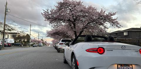 Mazda MX-5 Miata 2017