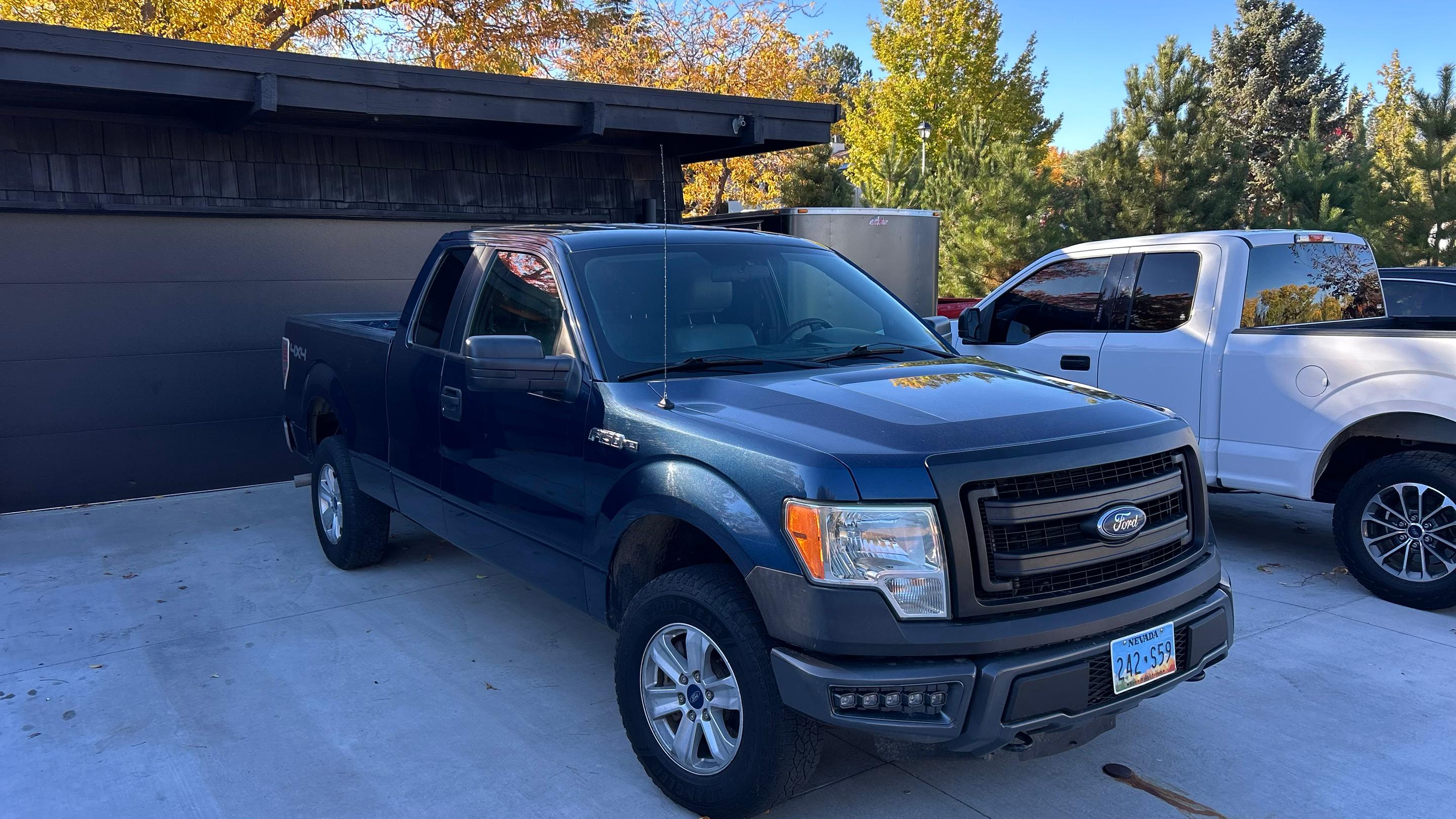 Ford F-150 2014 in Reno, NV