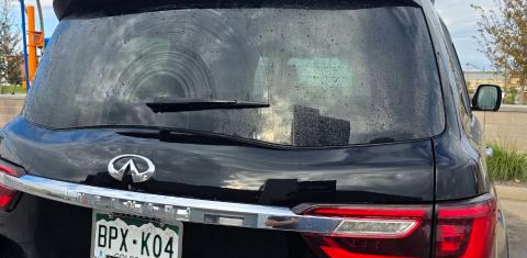 INFINITI QX80 2019