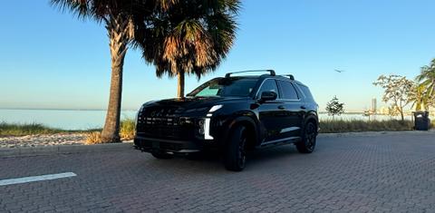 Hyundai Palisade 2025