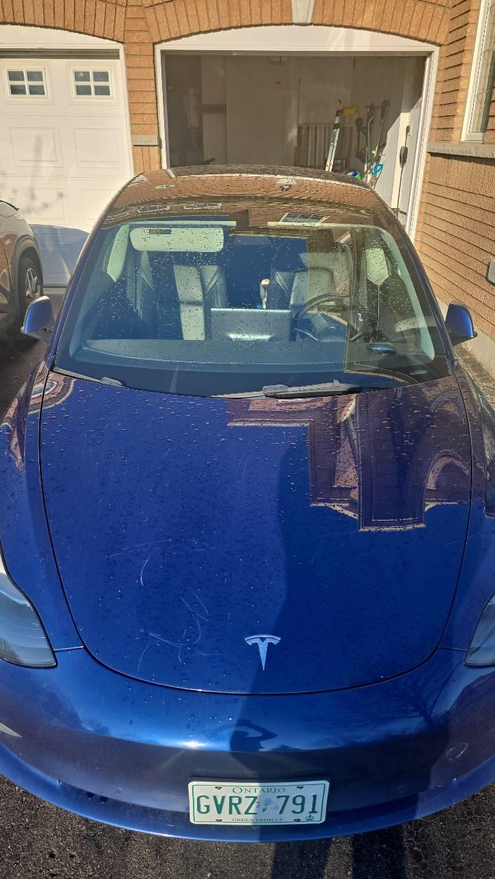 Tesla Model 3 2022 in 
