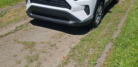 Toyota RAV4 2024