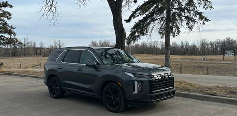 Hyundai Palisade 2024