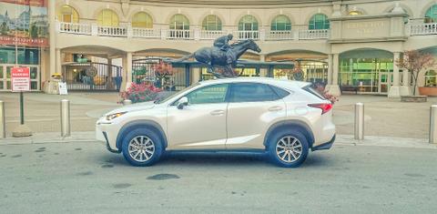 Lexus NX 2020