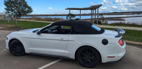 Ford Mustang 2019