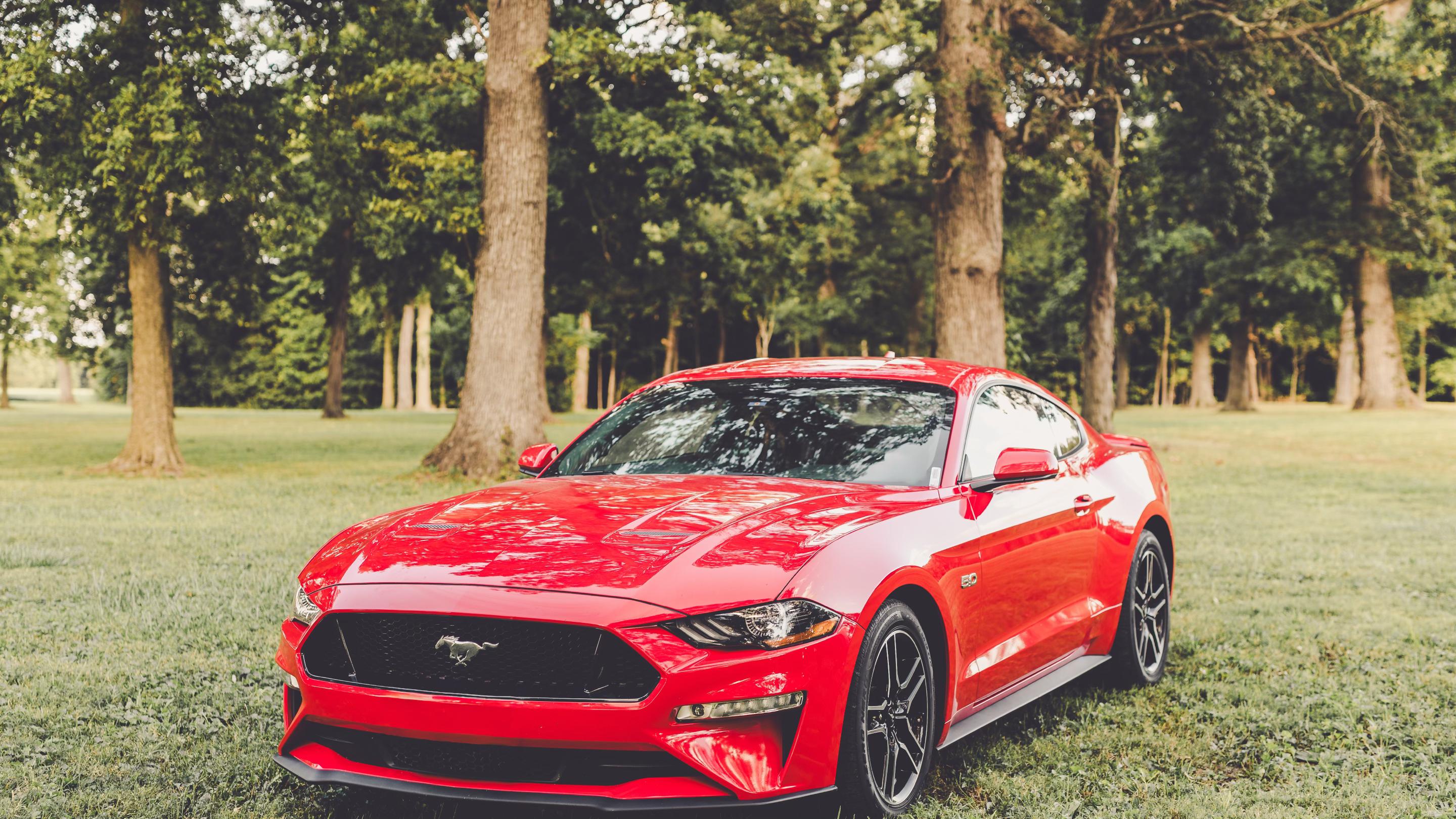 Ford Mustang 2023 in Rockwall, TX