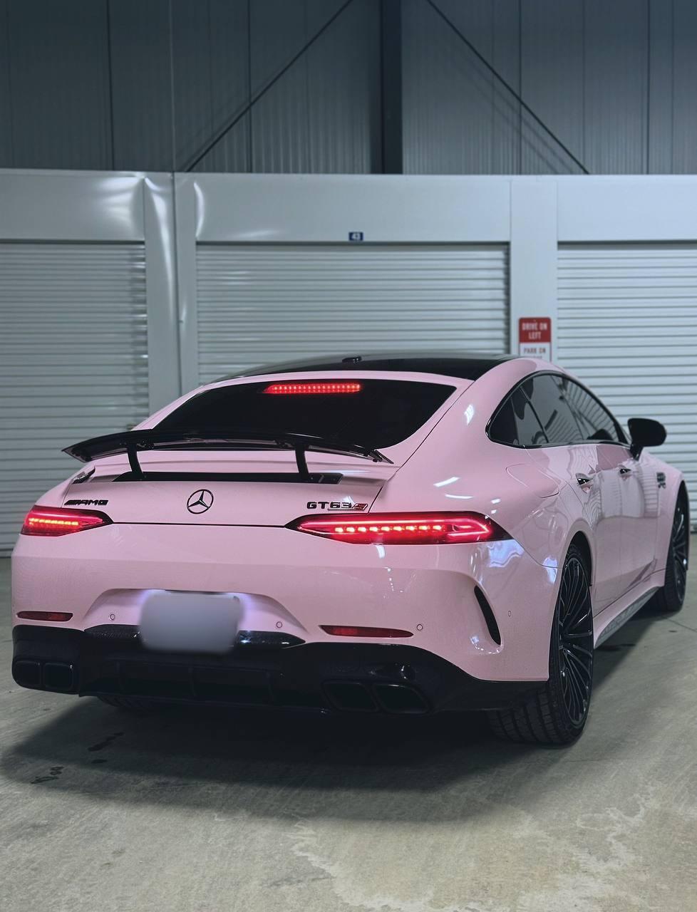 Mercedes-Benz AMG GT 2019 rental in Livonia, MI by Depend Exotics