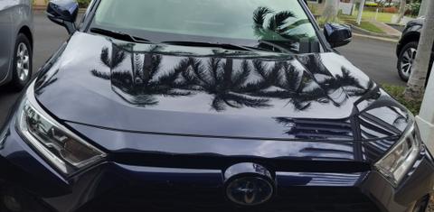 Toyota RAV4 Hybrid 2021