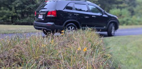 Kia Sorento 2013
