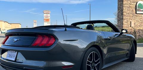Ford Mustang 2019