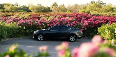 Chevrolet Malibu 2015