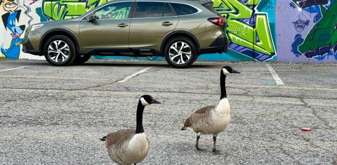 Subaru Outback 2021