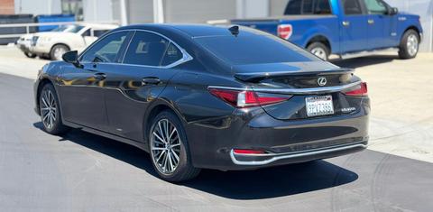 Lexus ES 2025